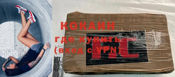 дживик Бородино
