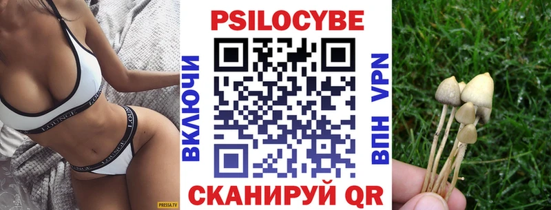 где купить наркоту  Оха  Псилоцибиновые грибы мицелий 